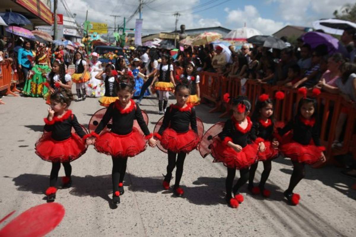 Festival de las Flores busca ser tradición