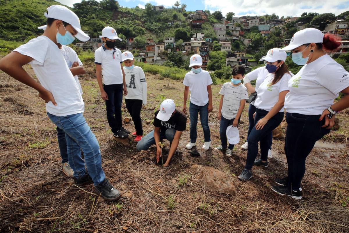 Escuelas Amigables con el Ambiente llegará a más estudiantes este 2023