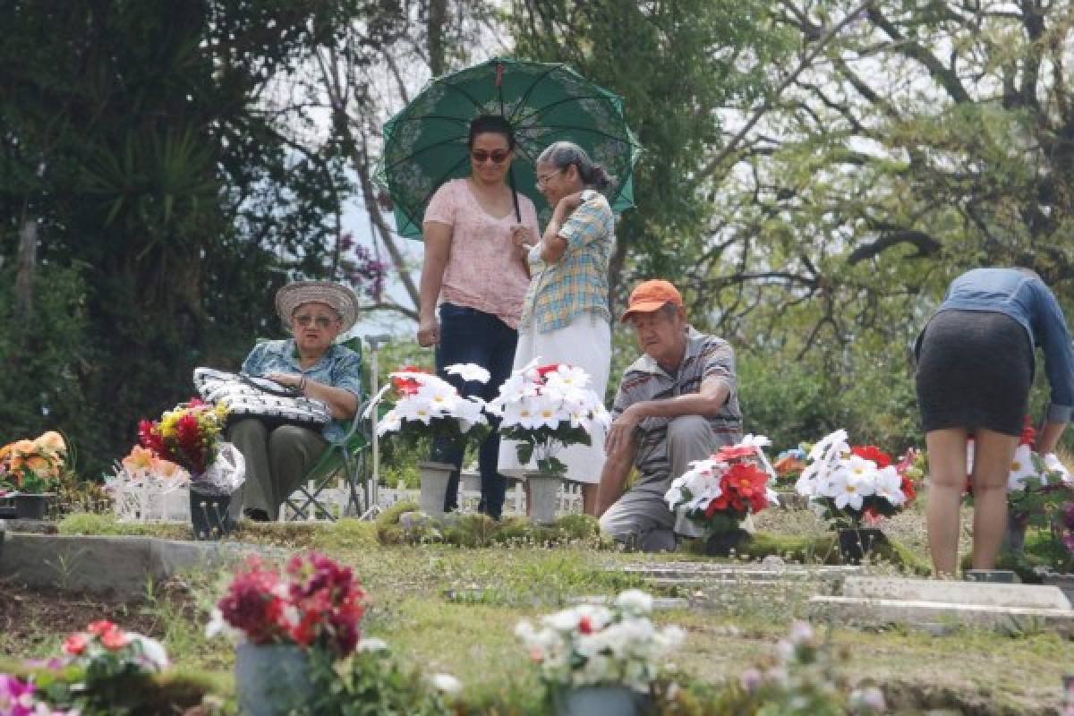 La capital se cobijó de amor y de gala por la celebración del Día de la Madre