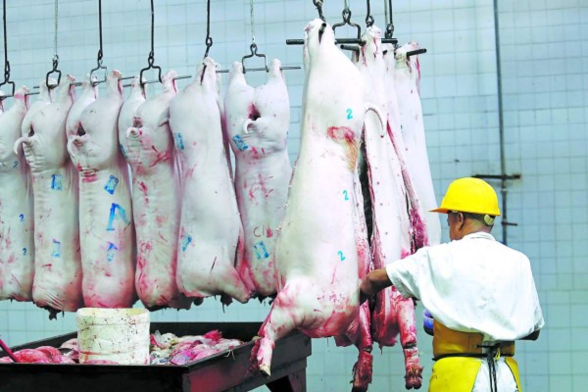 La libra de carne de cerdo aumenta L 2 en mercados capitalinos