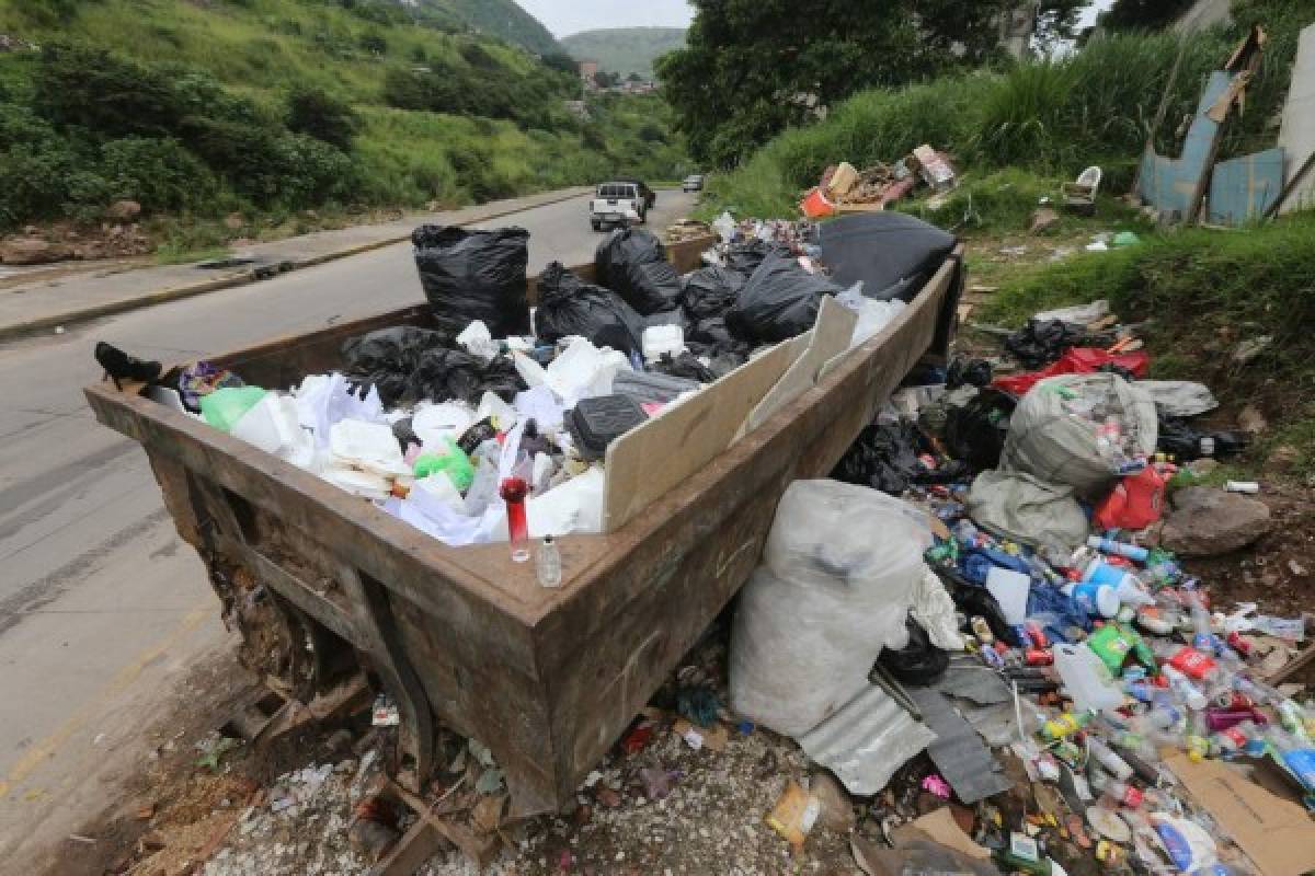 Vendedores serán formados para controlar producción de basura