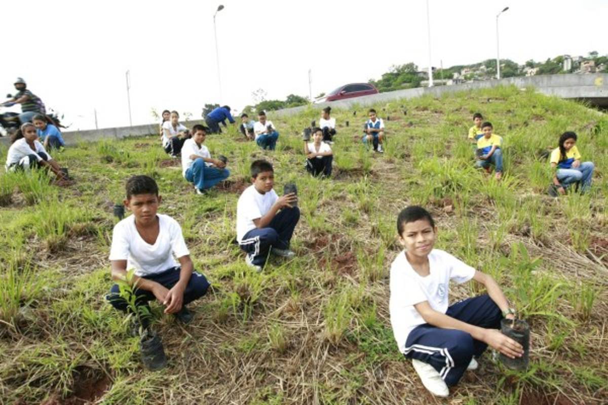 Mañana se conocerá a la escuela más amigable con el ambiente