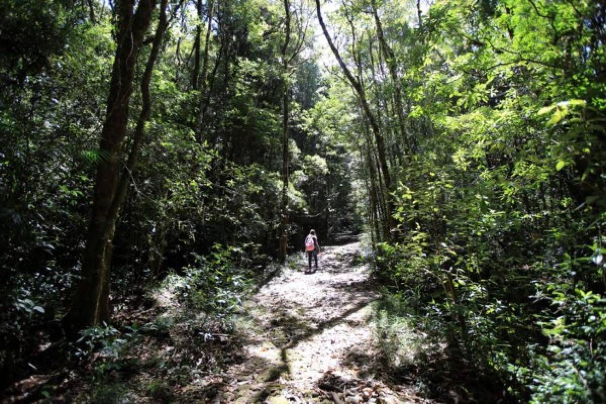 La ruta Cerro de Plata, la unión de El Picacho, El Piligüín y La Tigra