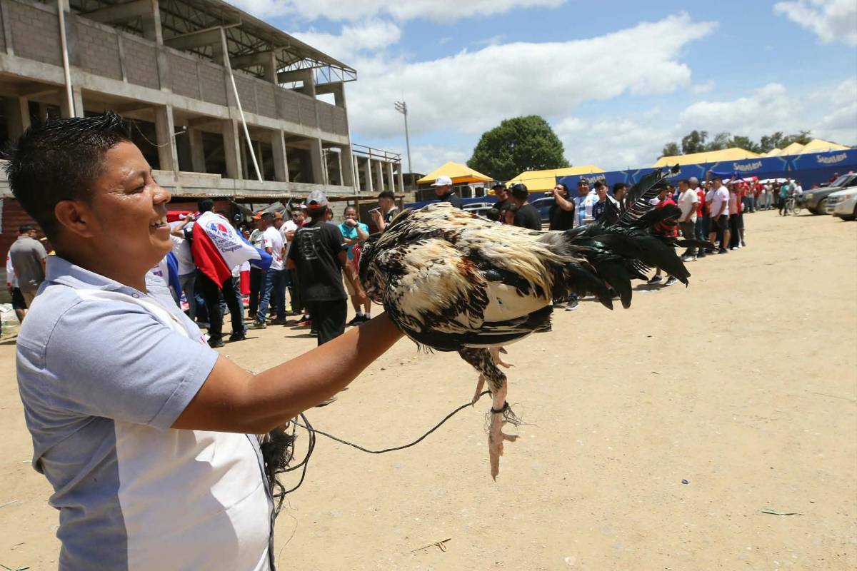 Belleza, pelea de gallos, locura por Olimpia a Danlí y curiosa llegada del Estrella Roja