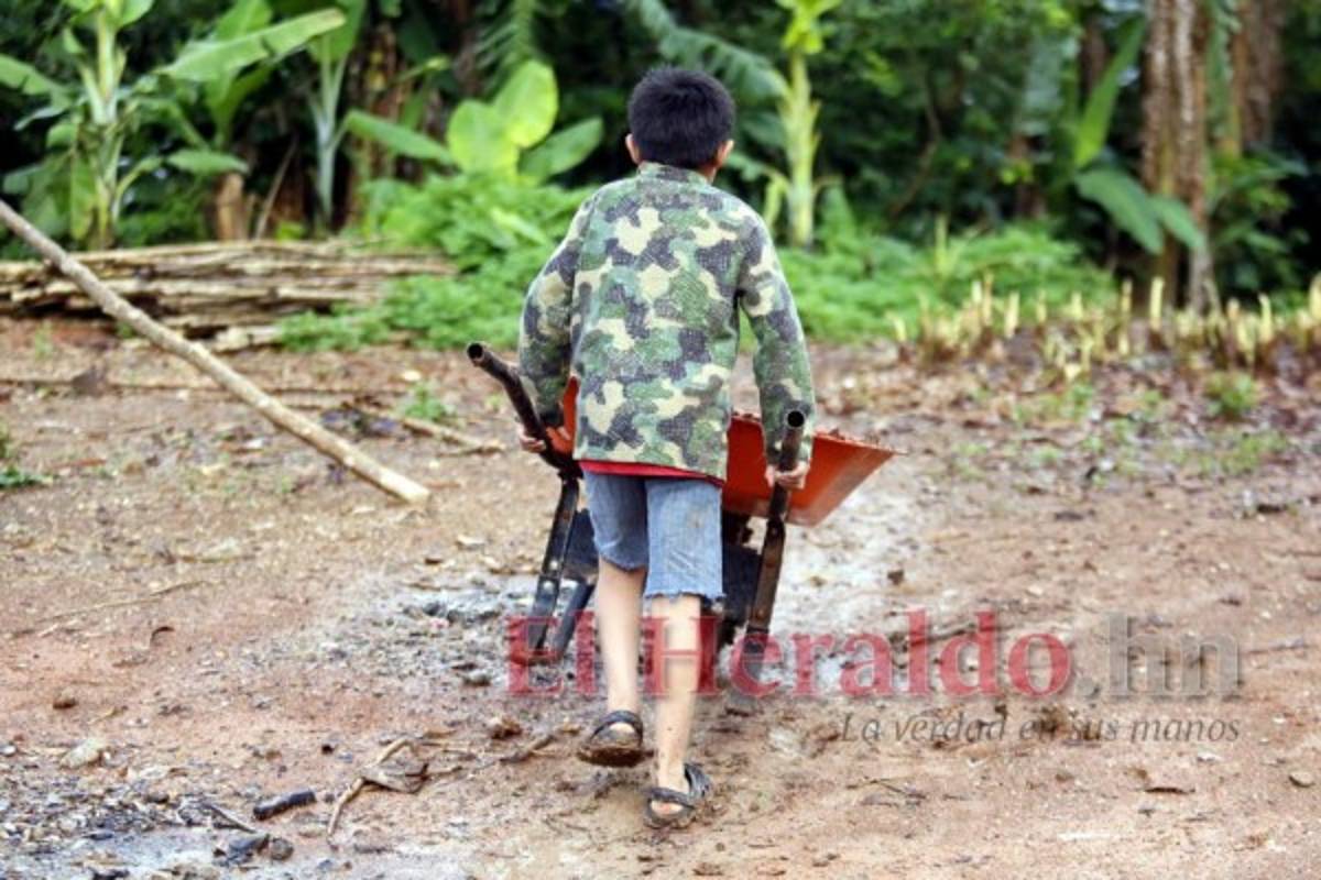 Proponen fortalecer entes en favor de la niñez hondureña