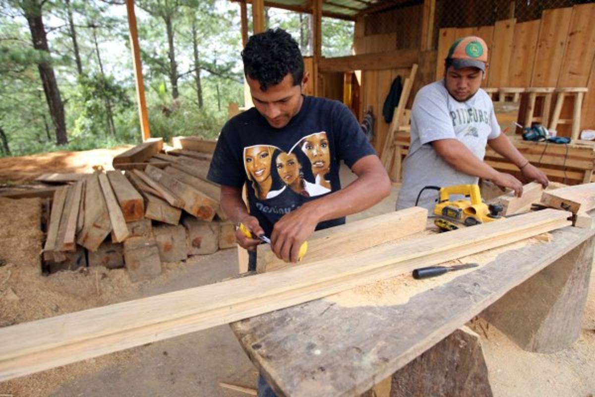 Honduras: Implementan nuevas acciones para restaurar el patrimonio de La Tigra