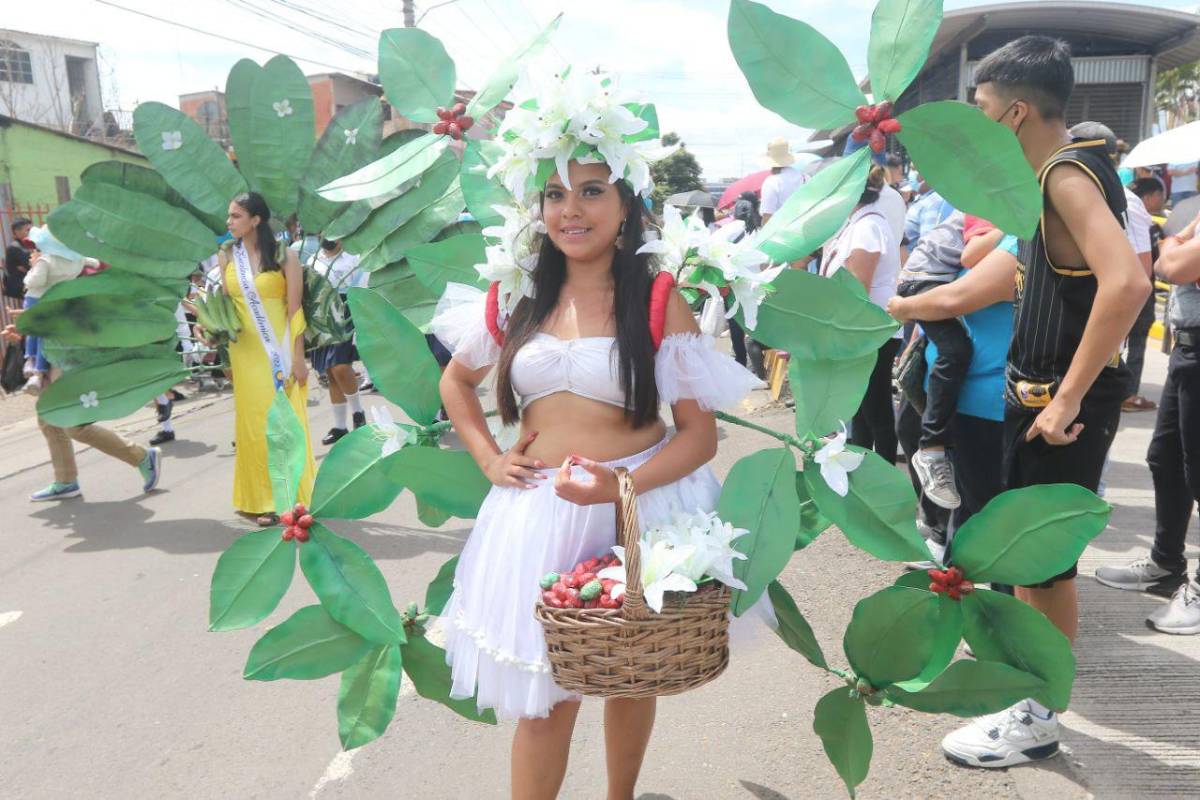 Hermosas representaciones de la flora hondureña así como de las bondades agrícolas que el país ofrece.