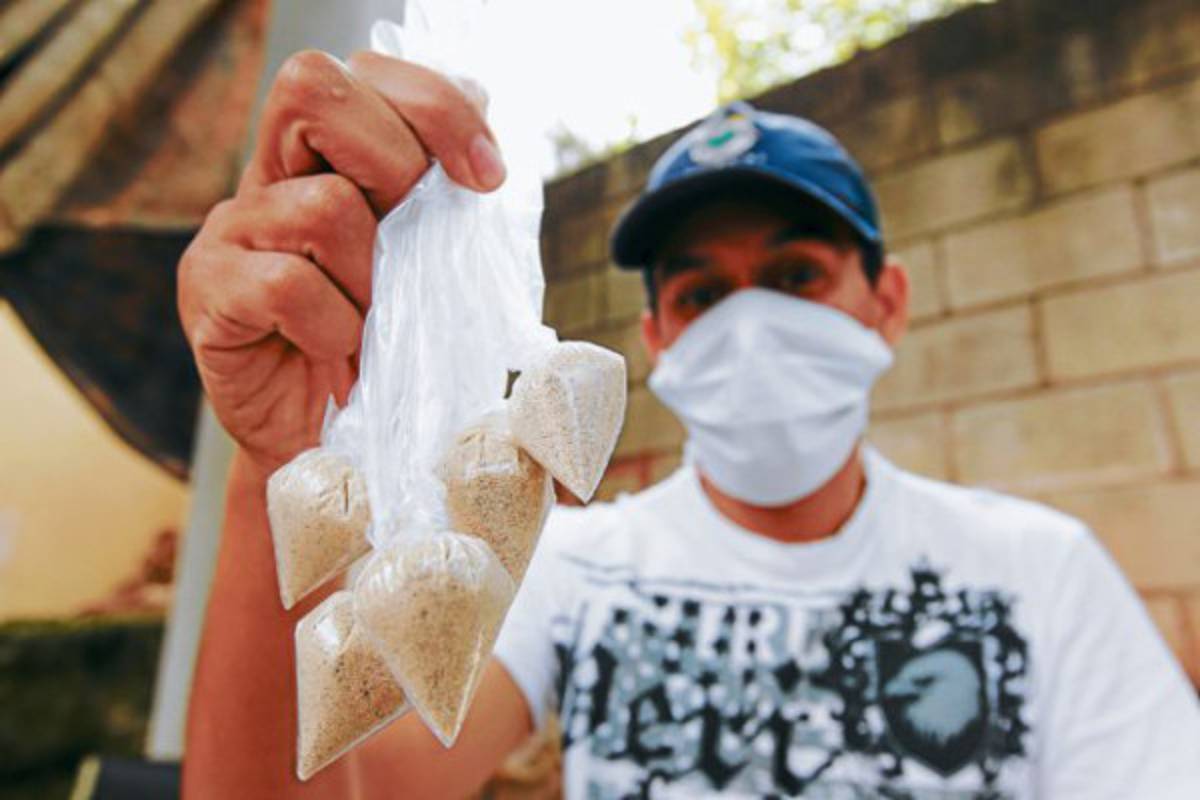 Retoman fumigaciones en los barrios y colonias de Tegucigalpa