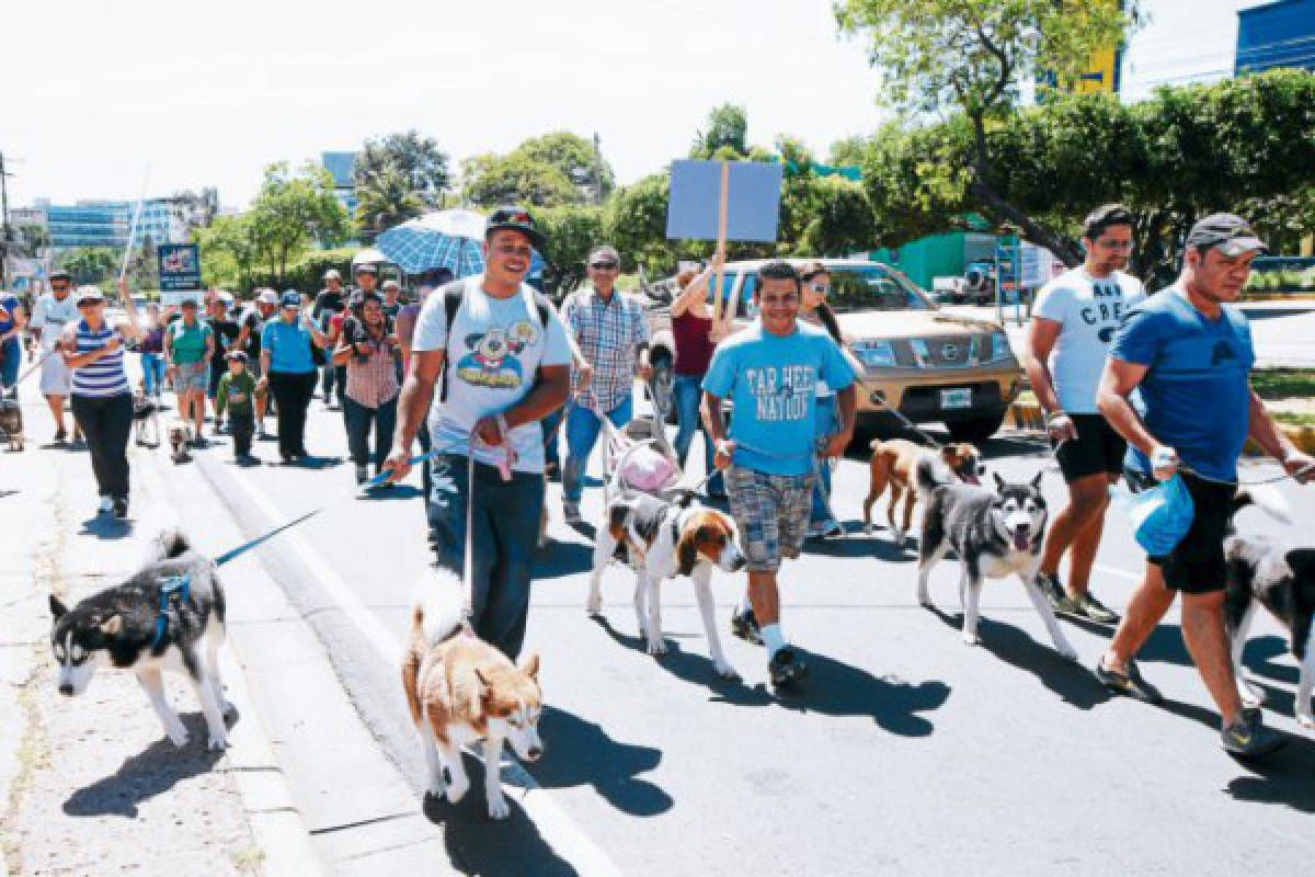 Protesta contra el maltrato animal en Bulevar Suyapa