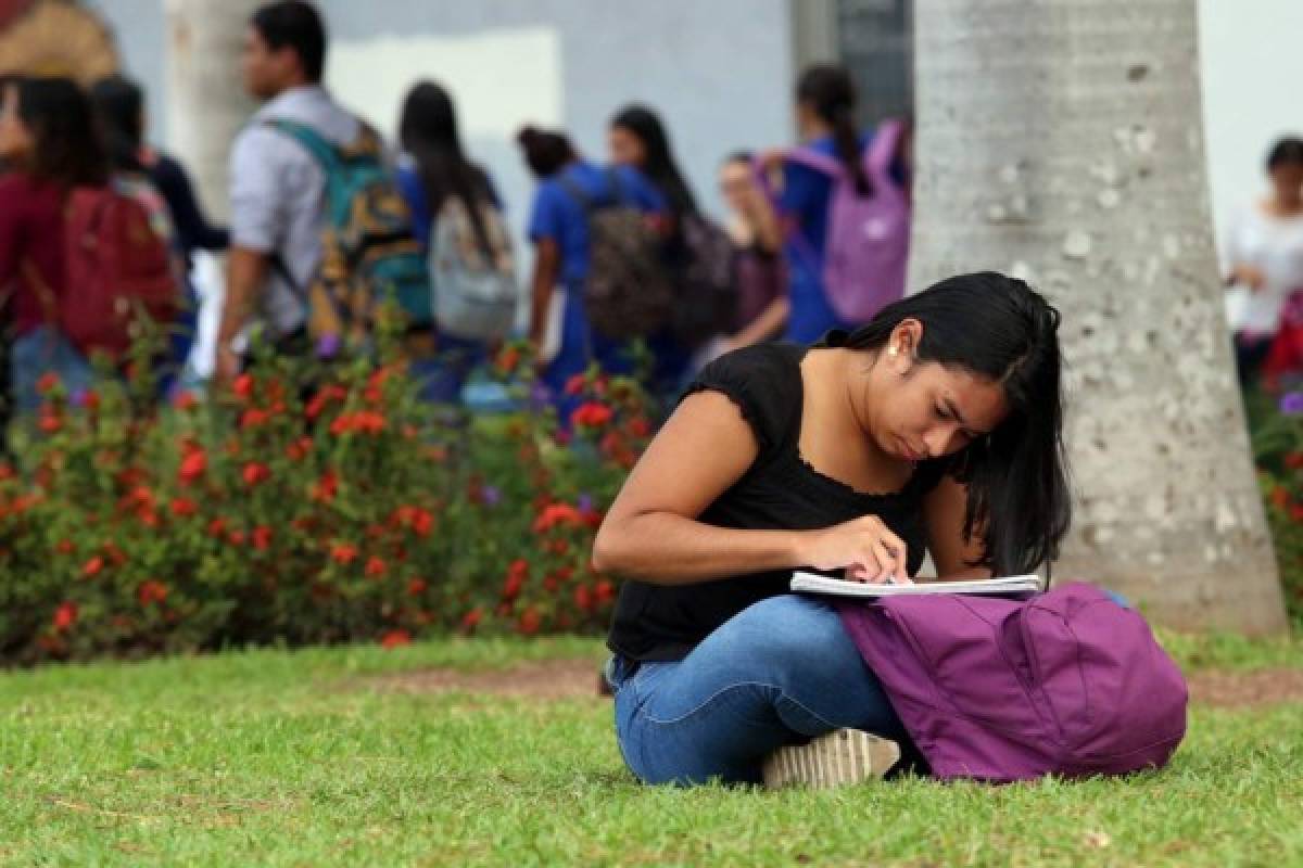 Universitarios estudian al aire libre