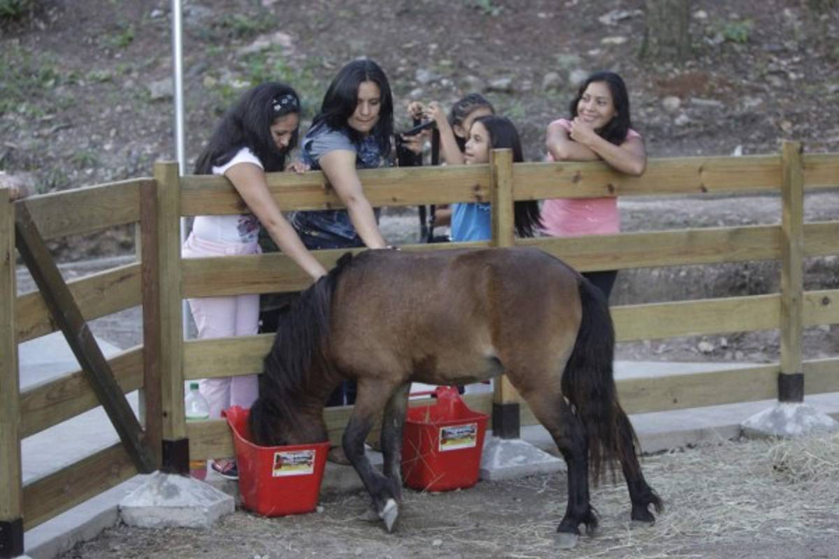 El zoológico Rosy Walther estrena megaparque Convive