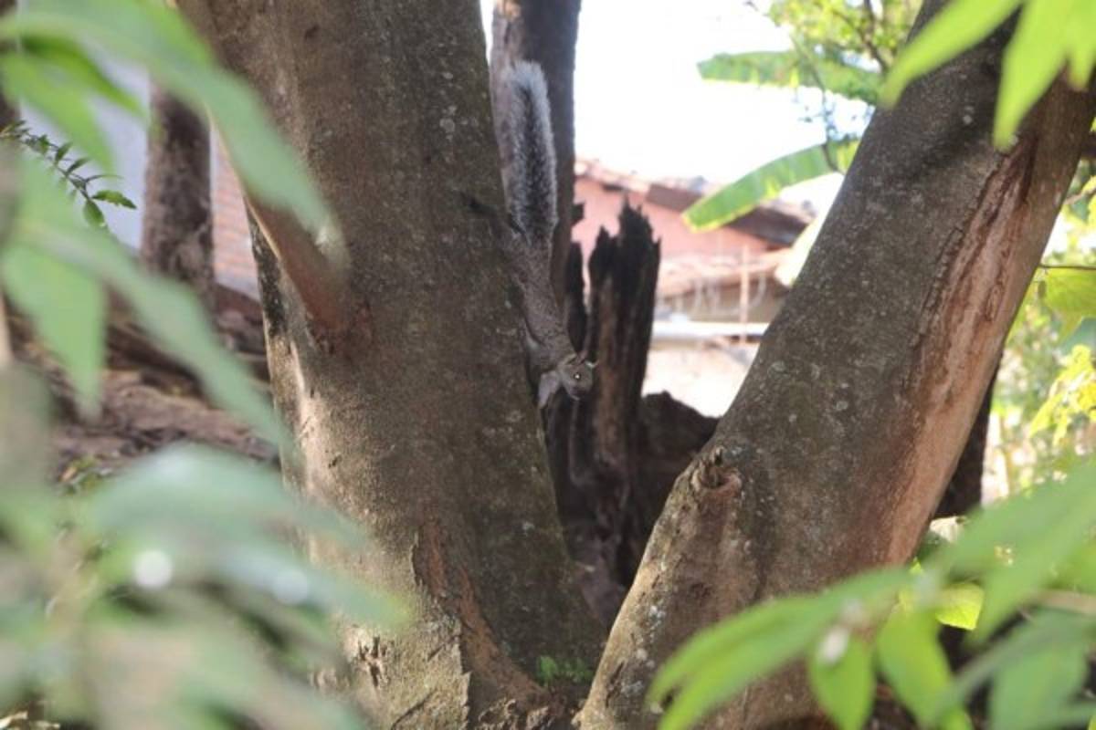 Tierra Adentro: Villa de San Francisco, cuna de tradiciones y reverencia a la naturaleza
