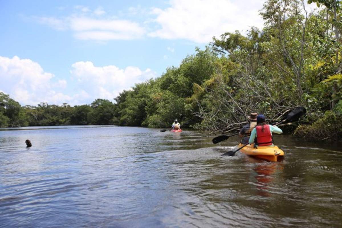 Recarga de adrenalina en El Río Plátano