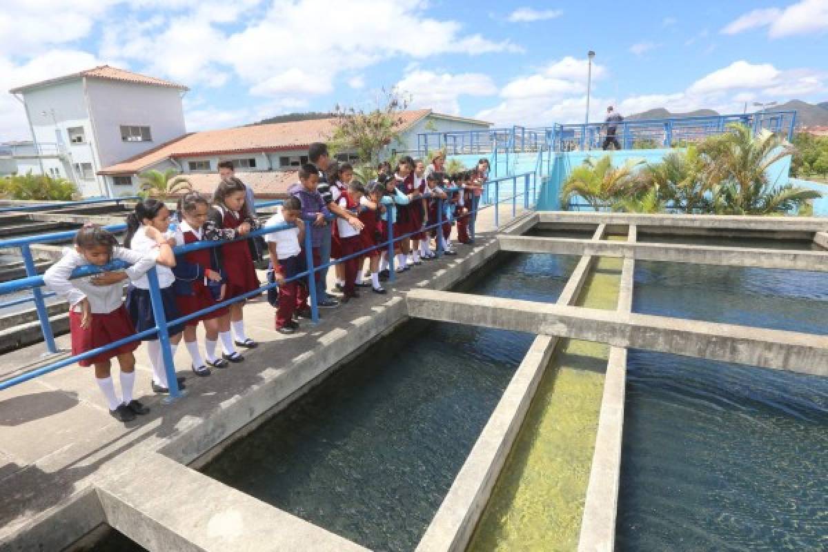 COACEHL lleva a niños ecologistas a conocer la represa La Concepción