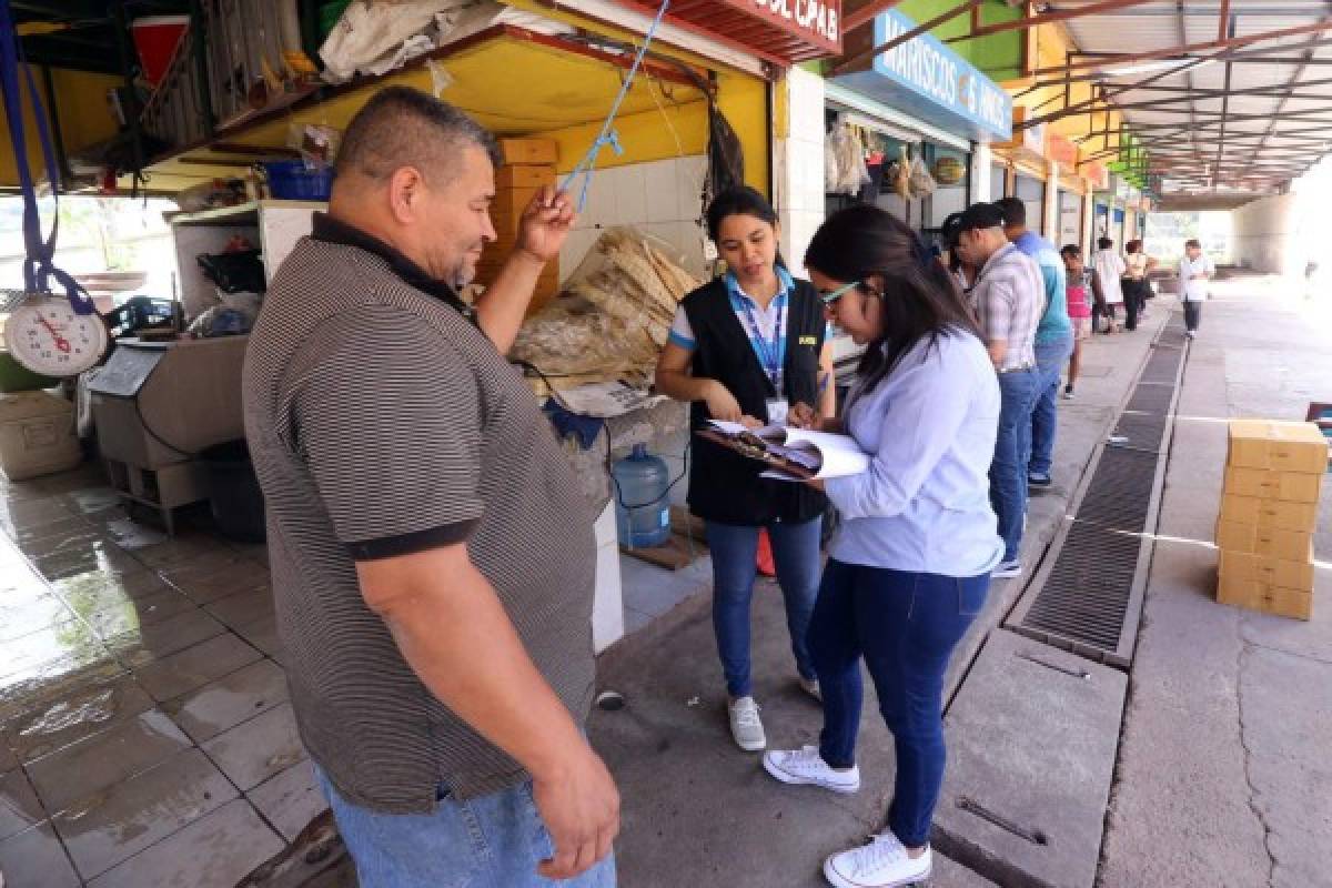 Unas 200 mil libras de pescado seco serán comercializadas en la capital