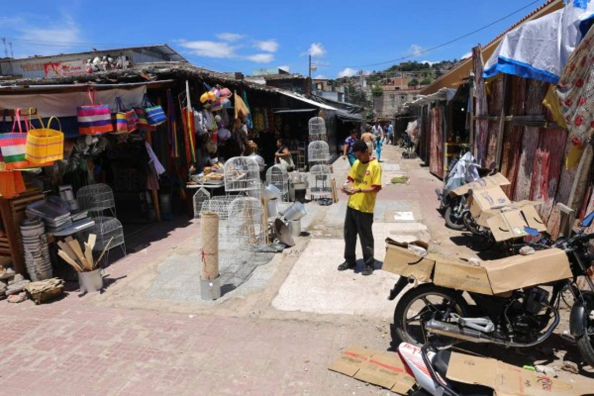 Gobierno, Alcaldía y comerciantes harán el San Isidro