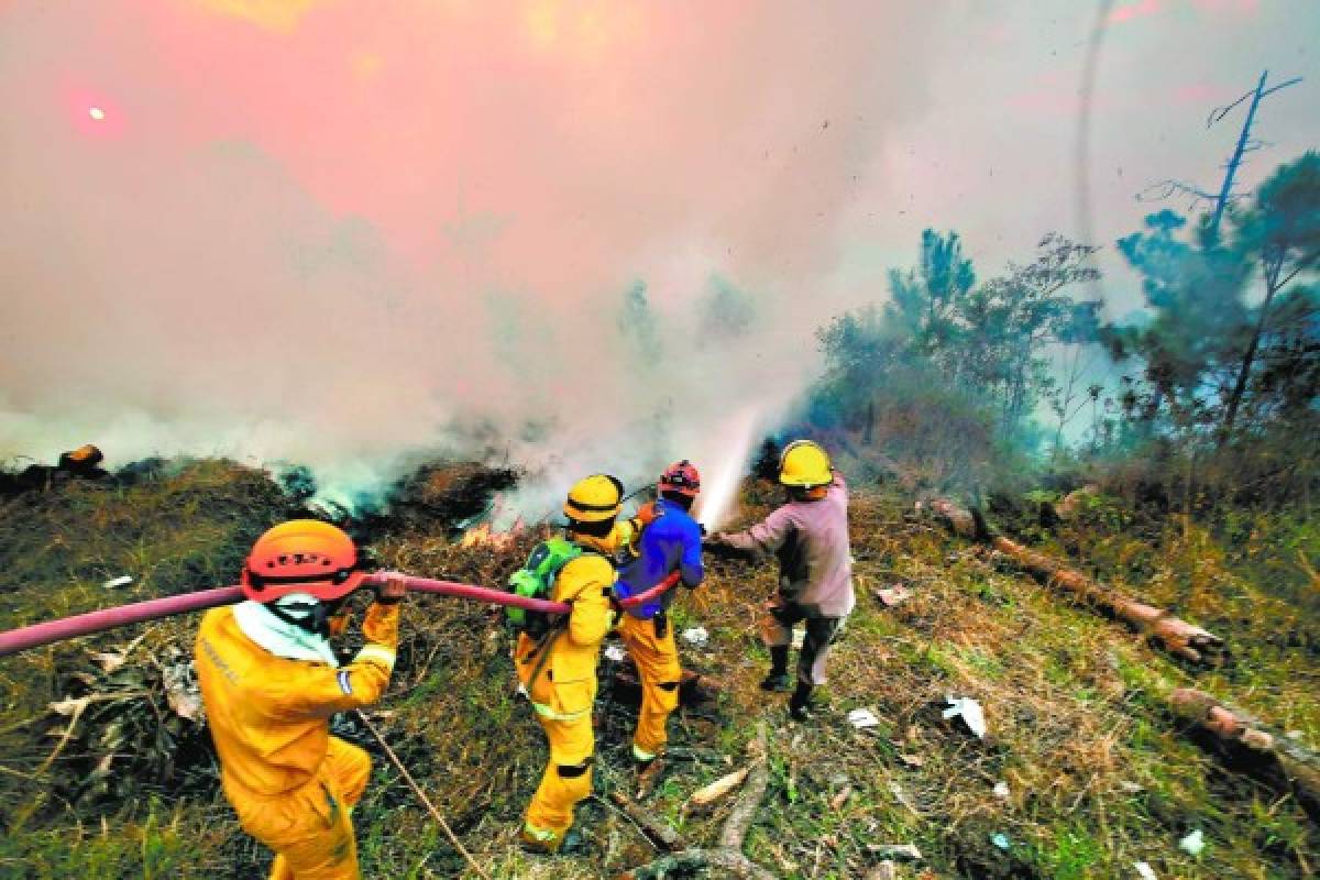 Fiscalía indaga de oficio 74 incendios forestales