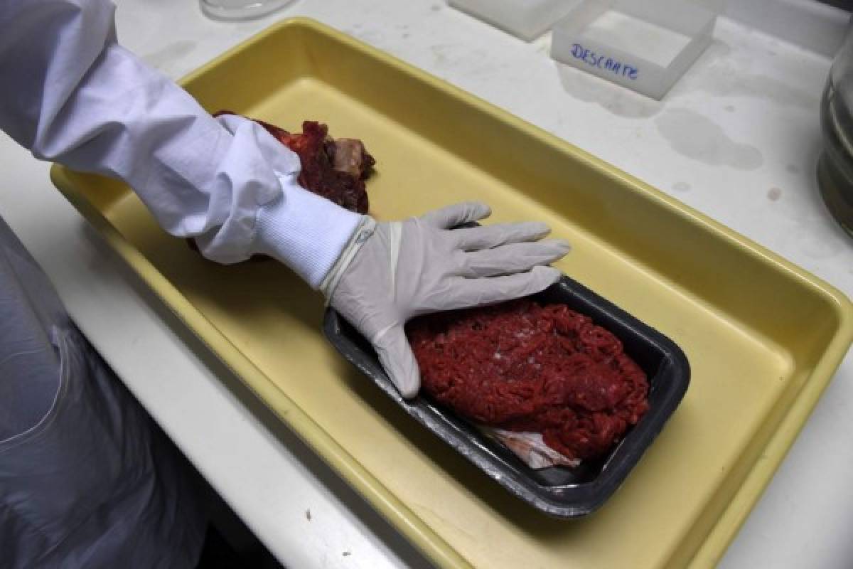 Expertos se encuentran analizando la carne animal de los diferentes mercados de Río de Janeiro. Foto: AFP