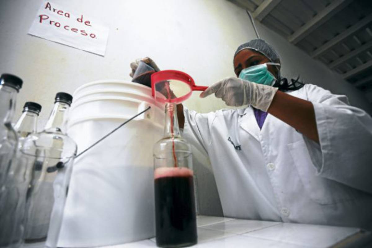 Vinos con el sabor a Danlí