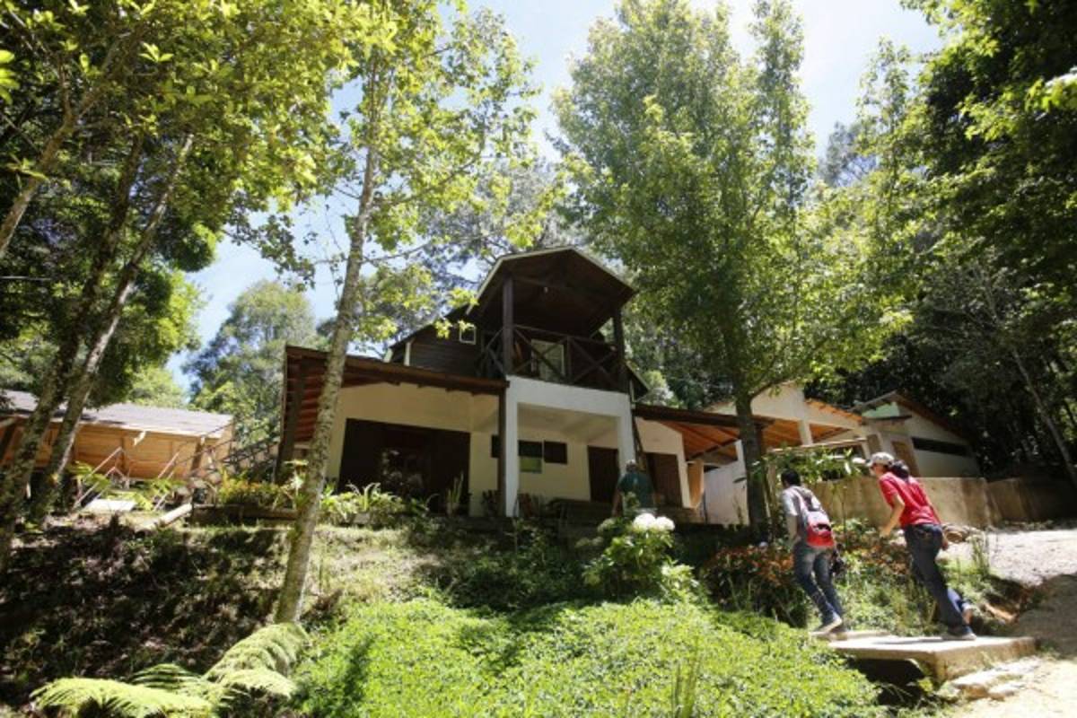 Transformación de La Tigra en riesgo por elevado déficit