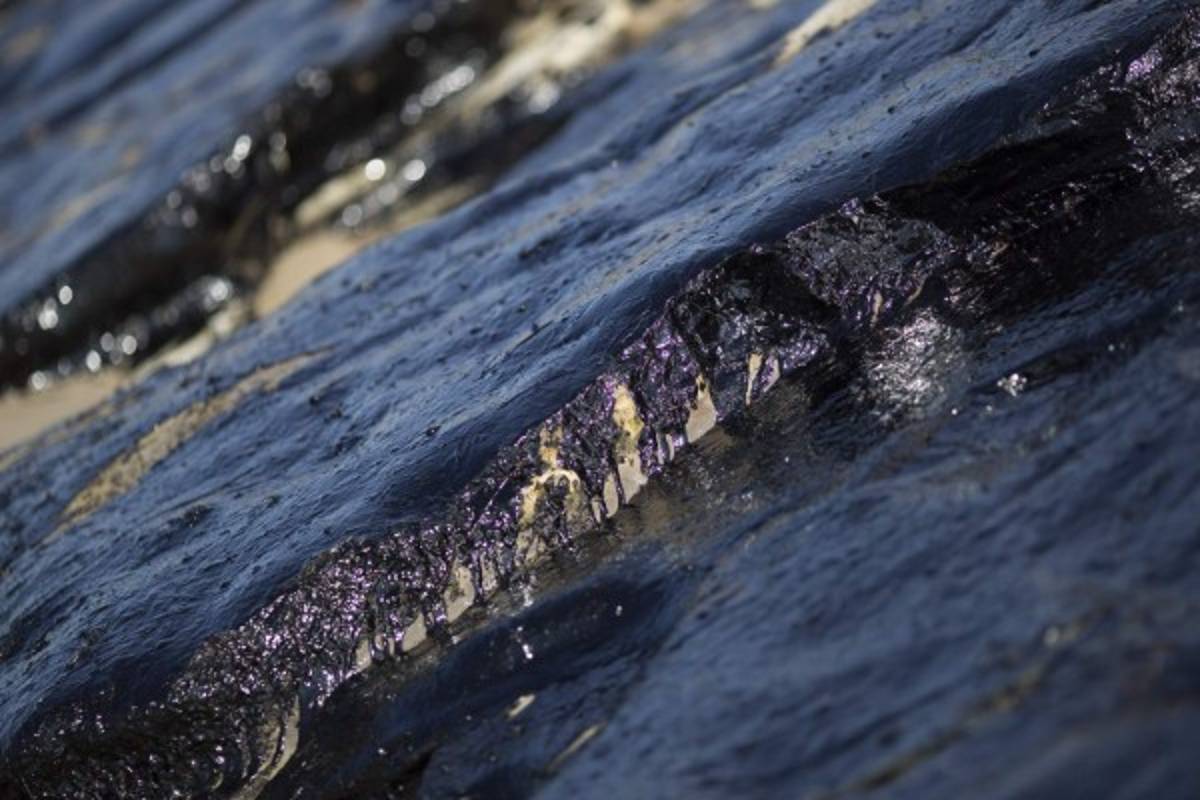 California declara en emergencia zona costera tras derrame de crudo