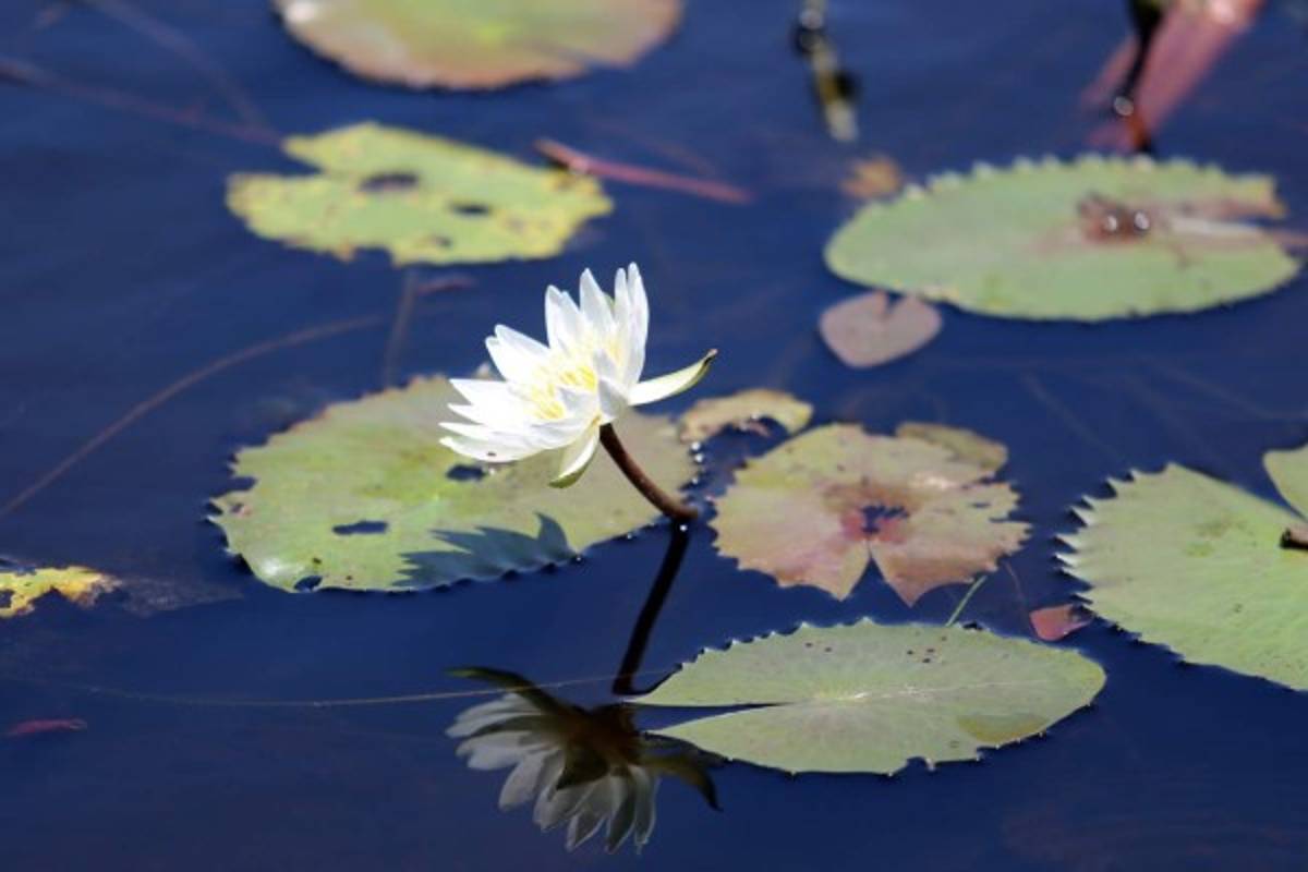 Recarga de adrenalina en El Río Plátano