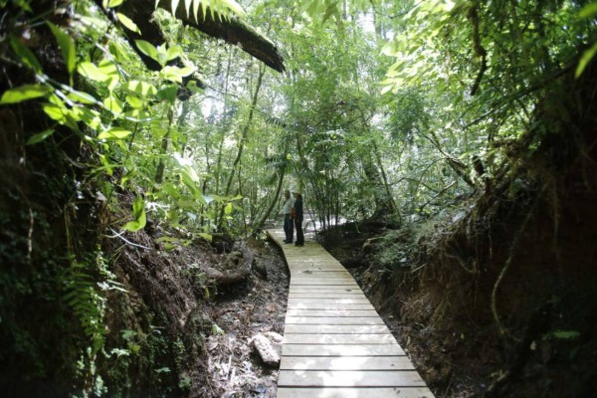 Transformación de La Tigra en riesgo por elevado déficit