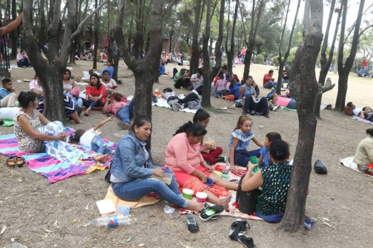 Siguen llegando miles de personas a honrar a la Morenita