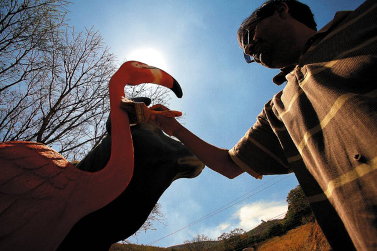 Honduras: El arte sacado del vidrio