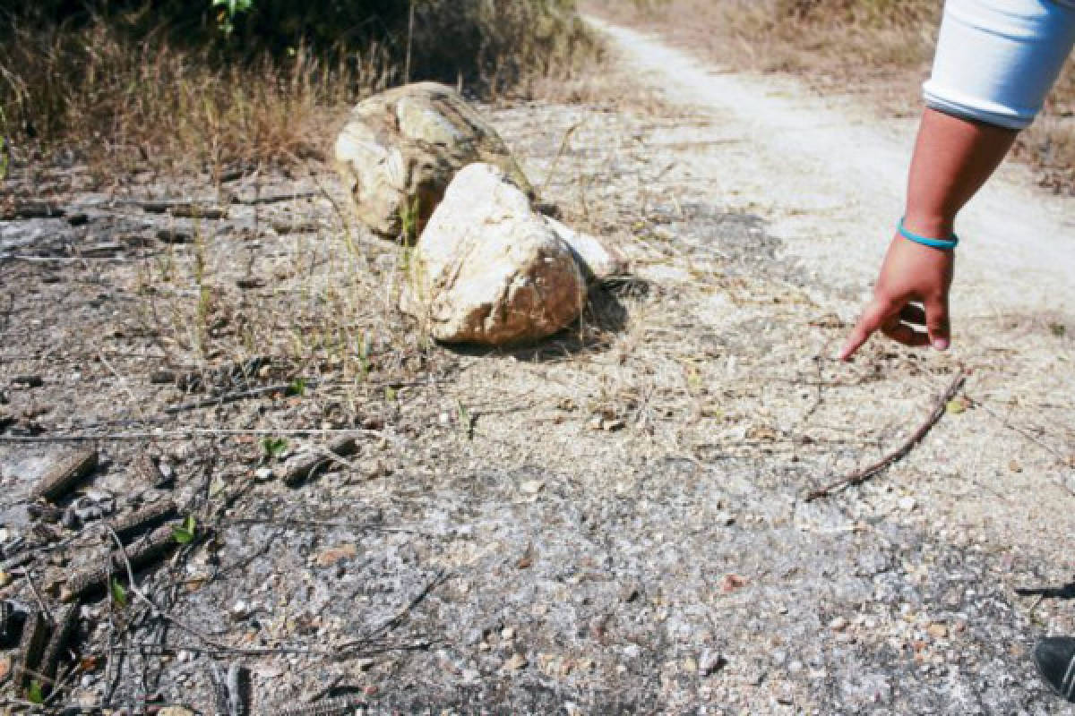 Autoridades del municipio de Danlí piden habilitar antigua pista aérea