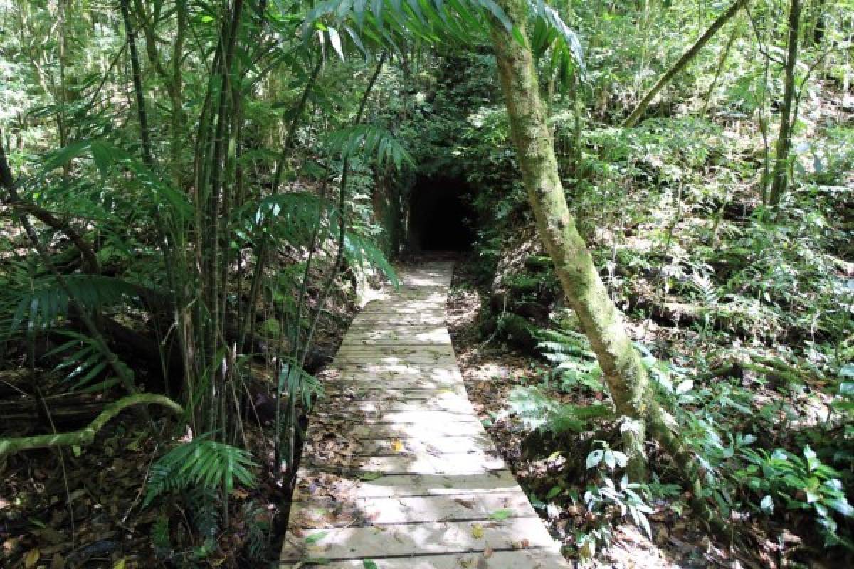 La ruta Cerro de Plata, la unión de El Picacho, El Piligüín y La Tigra