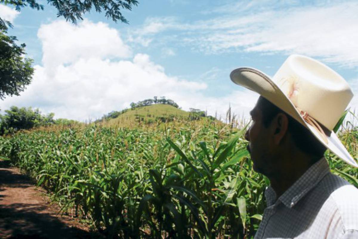 Productores piden apertura de centros de investigación