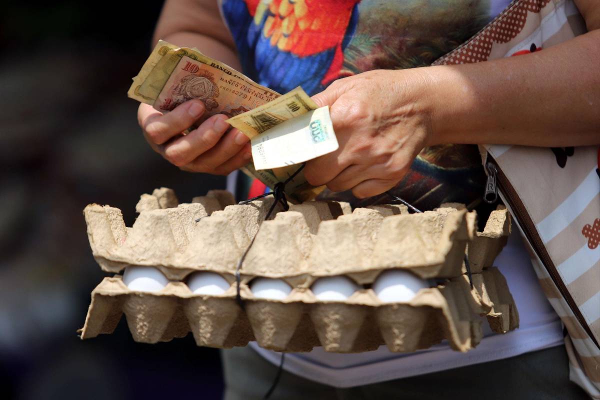 ¿A cuánto subirá el cartón de huevos? Revelan nuevos precios