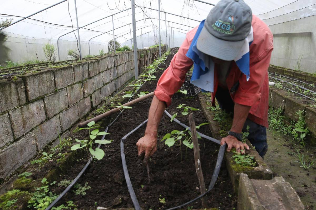 Imágenes que inspiran: así se vive con optimismo en Arca de Esperanzas
