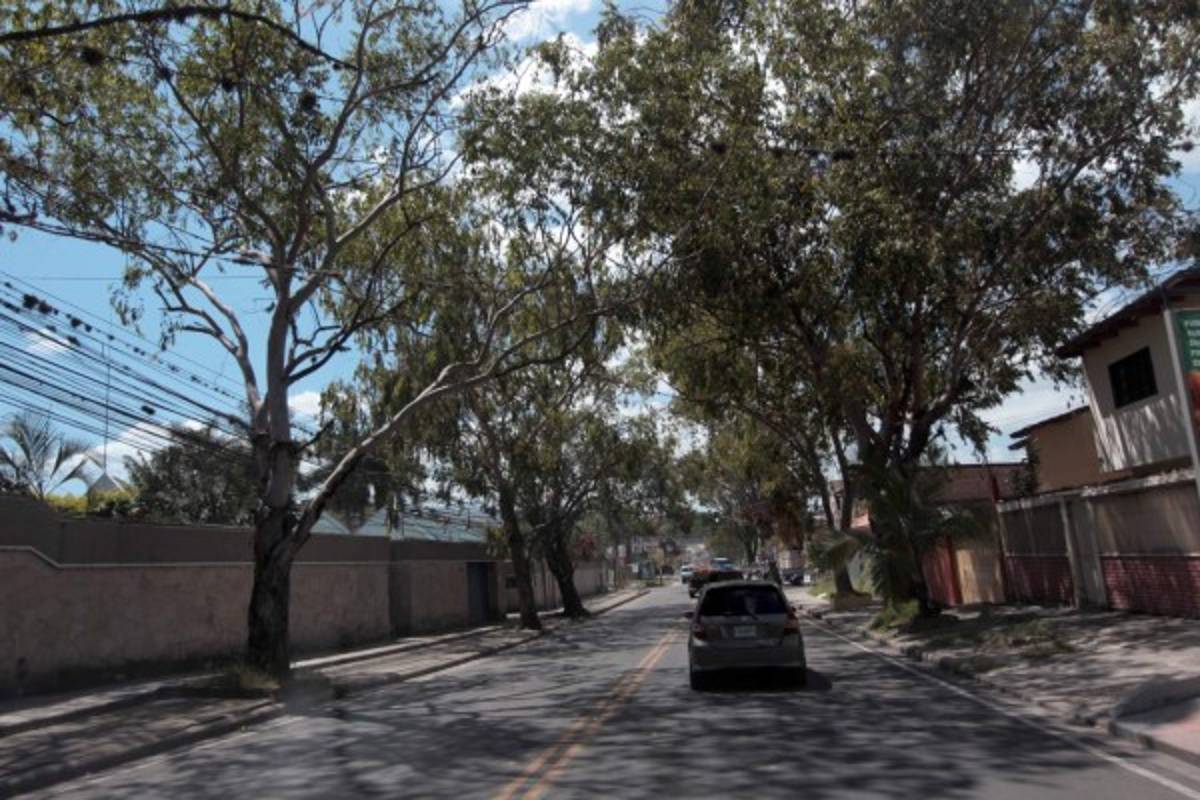 Tegucigalpa: Arranca fuerte inversión en obras de infraestructura