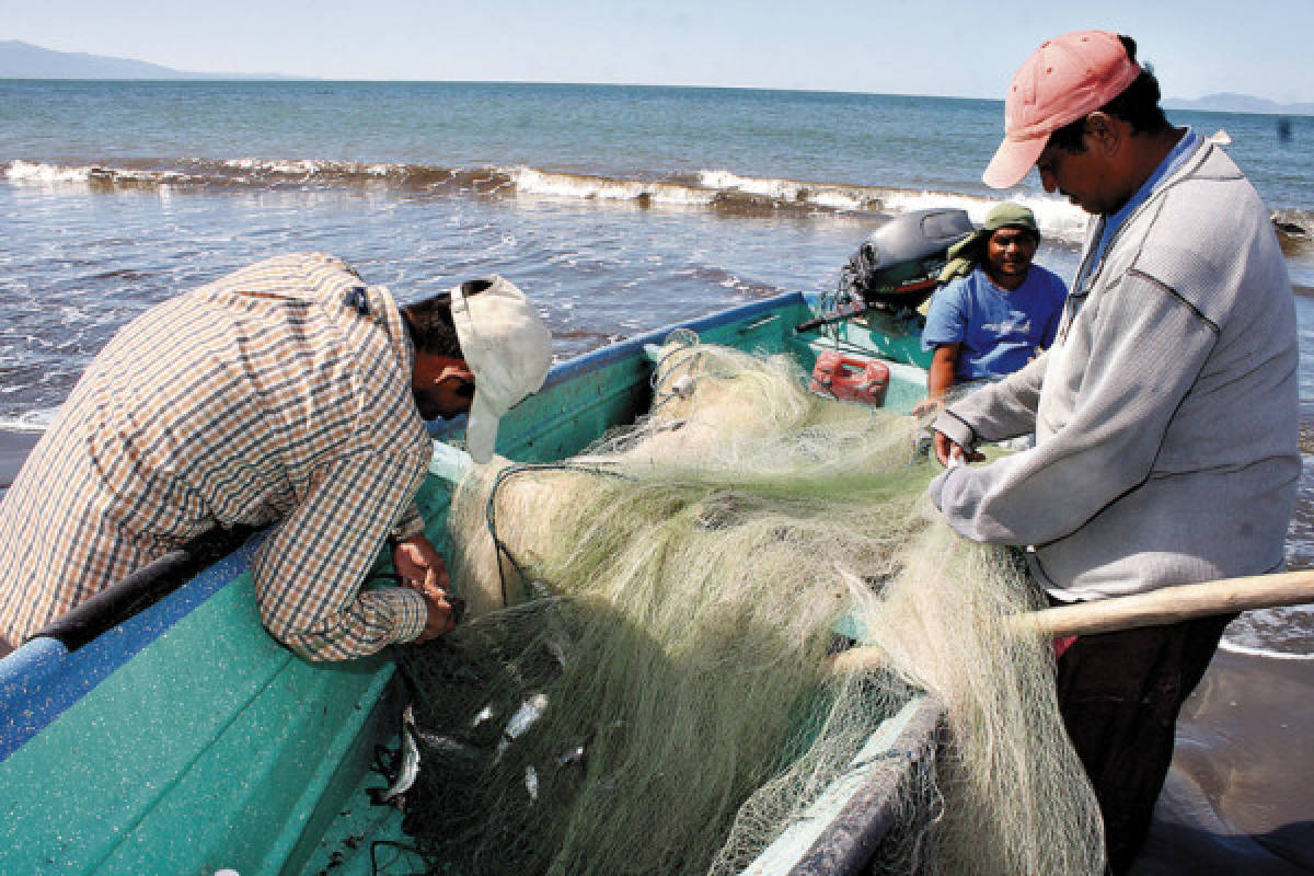 Abundante riqueza marina ofrece el Golfo de Fonseca