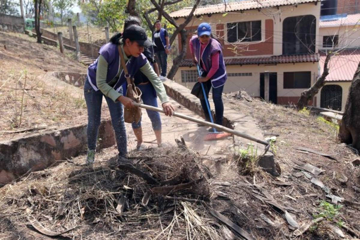 Megaoperativos dejan 160 mil viviendas libres de criaderos