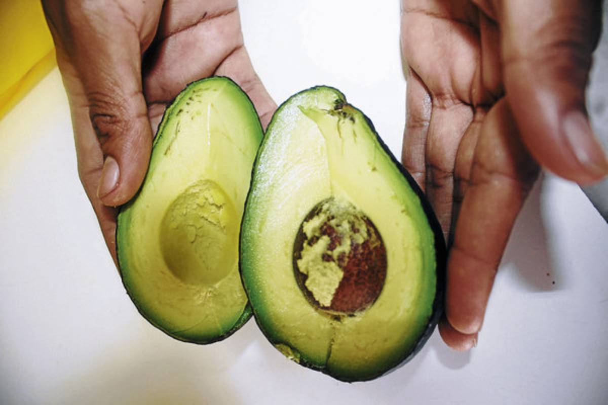 Plantaciones de aguacate Hass roban territorio al café