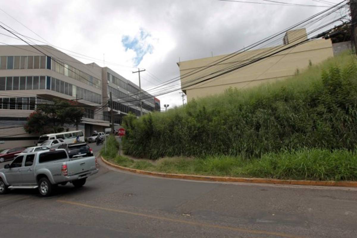 Sitiada Tegucigalpa por predios atestados de maleza