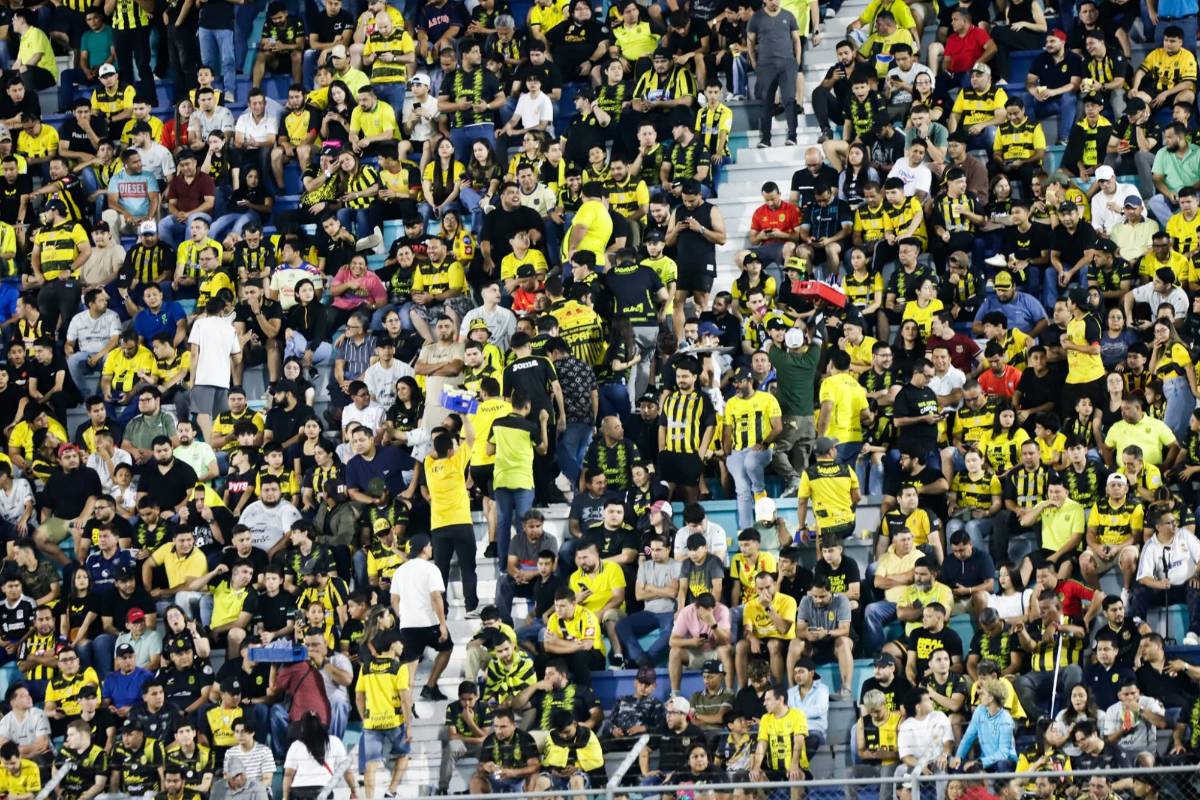Esposa de jugador y periodistas deslumbran: Bellas chicas en el Real España vs Los Ángeles FC