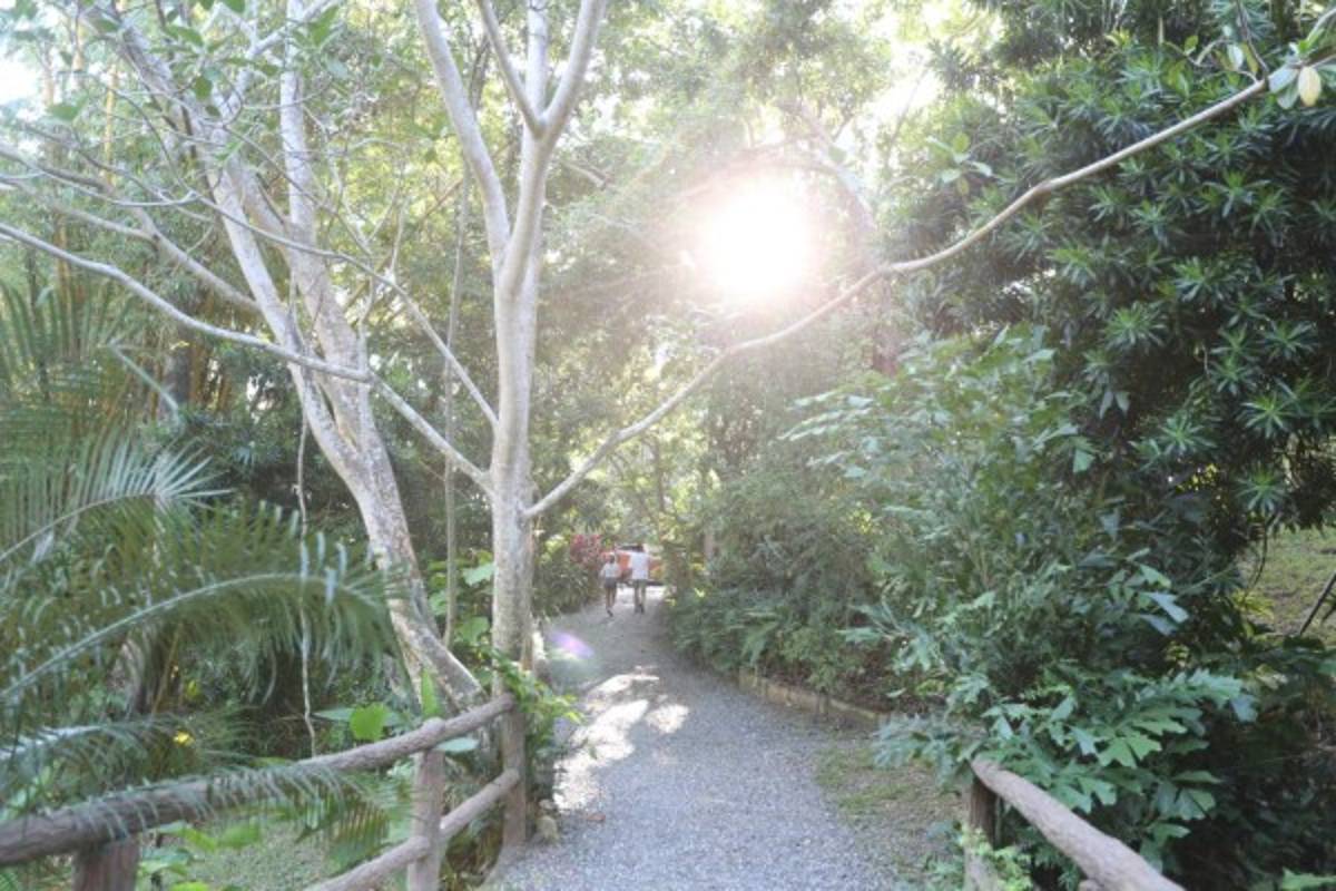 Recreación extrema en la hermosa y deslumbrante Isla de Roatán