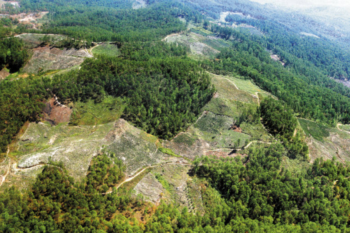 Devastación y descombros en el Parque Nacional Celaque