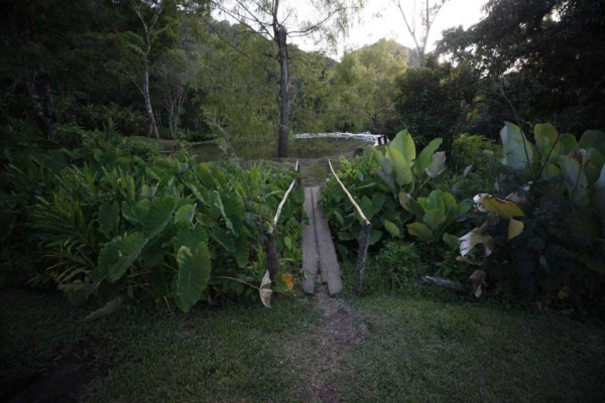 Finca Santa Emilia, un rincón para dejarse consentir por la madre naturaleza