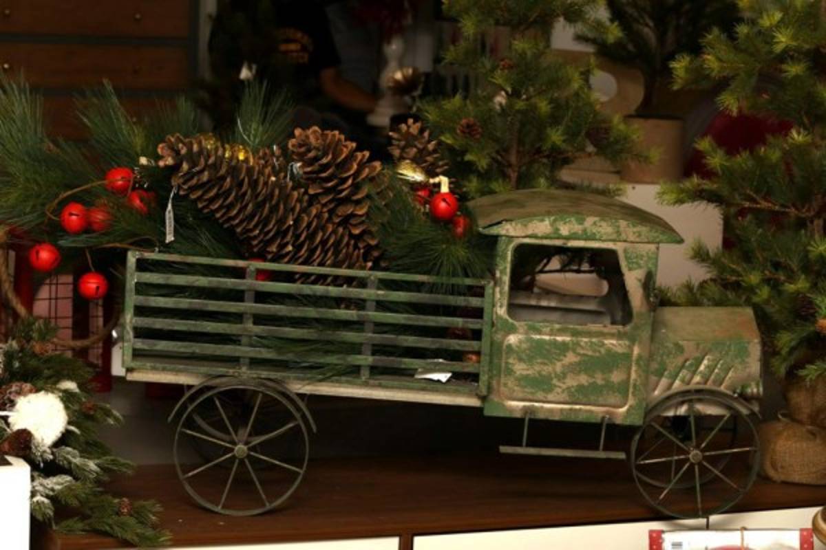 Bellotas que engalanan y ambientan su hogar  