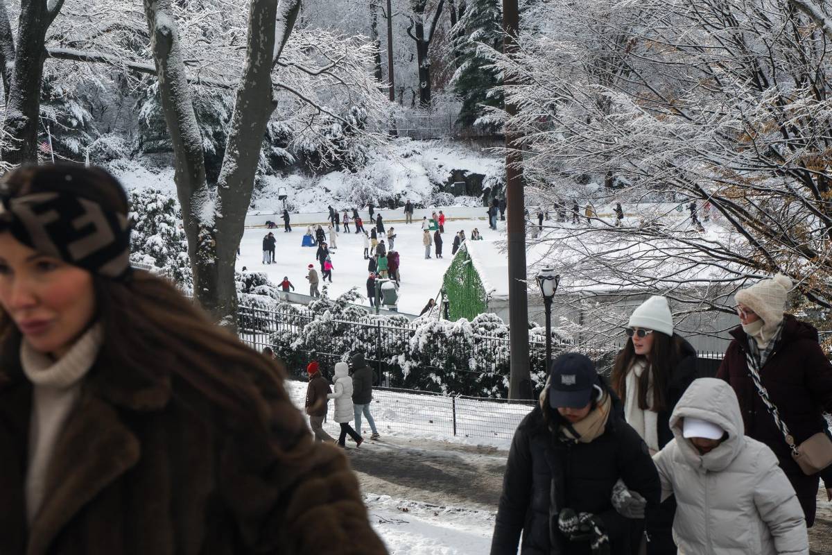 Tormenta de nieve afecta Nueva York: vuelos suspendidos y alerta en los cinco distritos