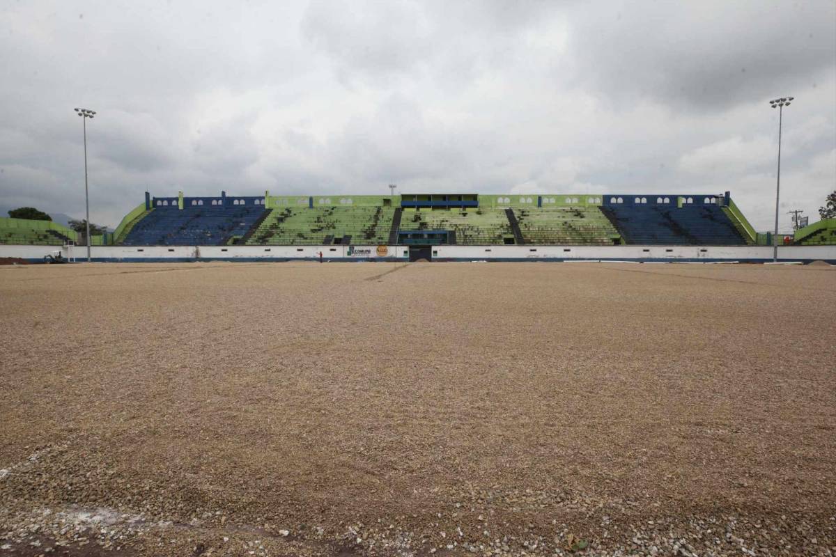 Así avanzan los trabajos de renovación en el estadio Juan Ramón Brevé: ¿Cuándo estará listo?