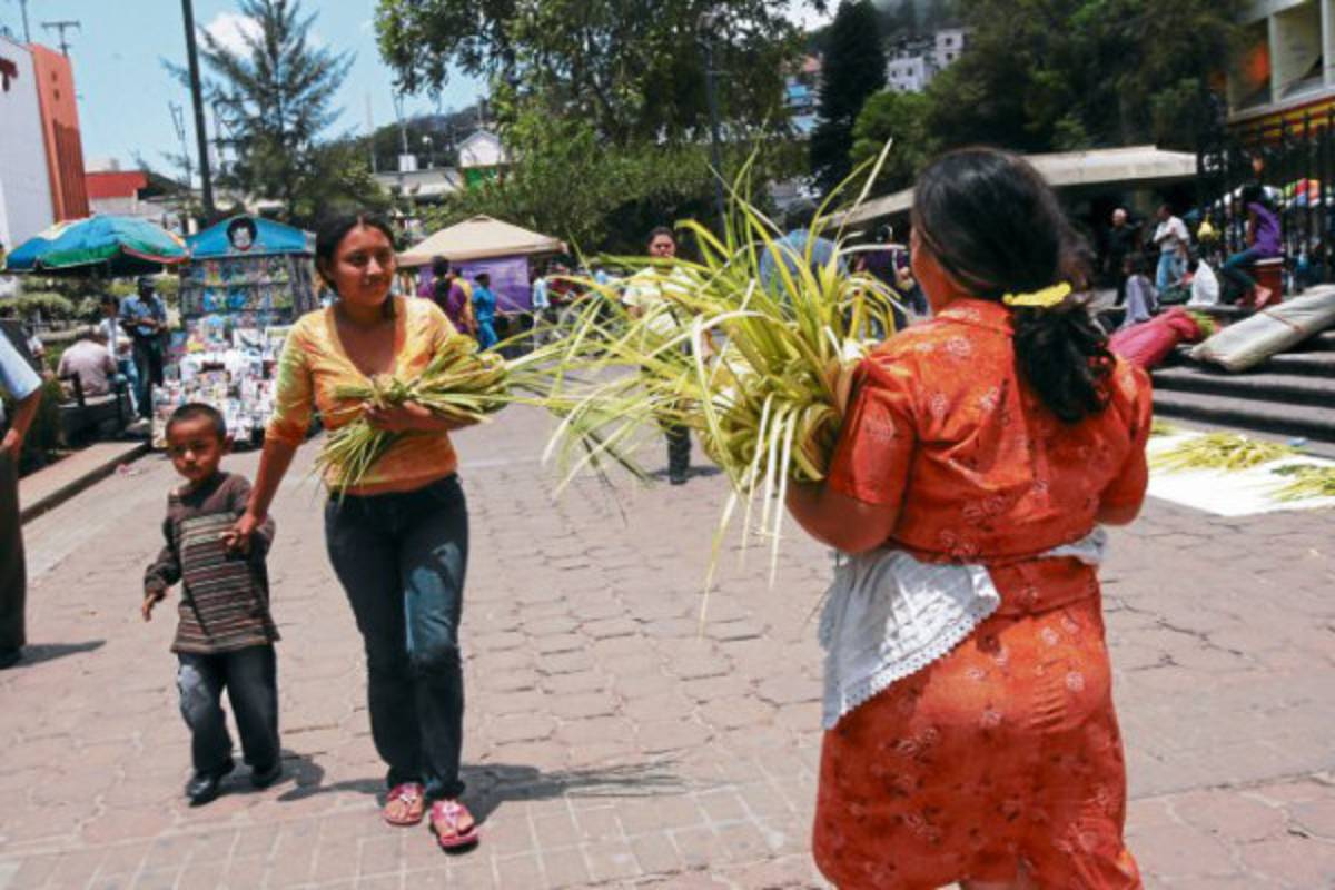 Domingo de Ramos: ¡Hosanna al Hijo de Dios!