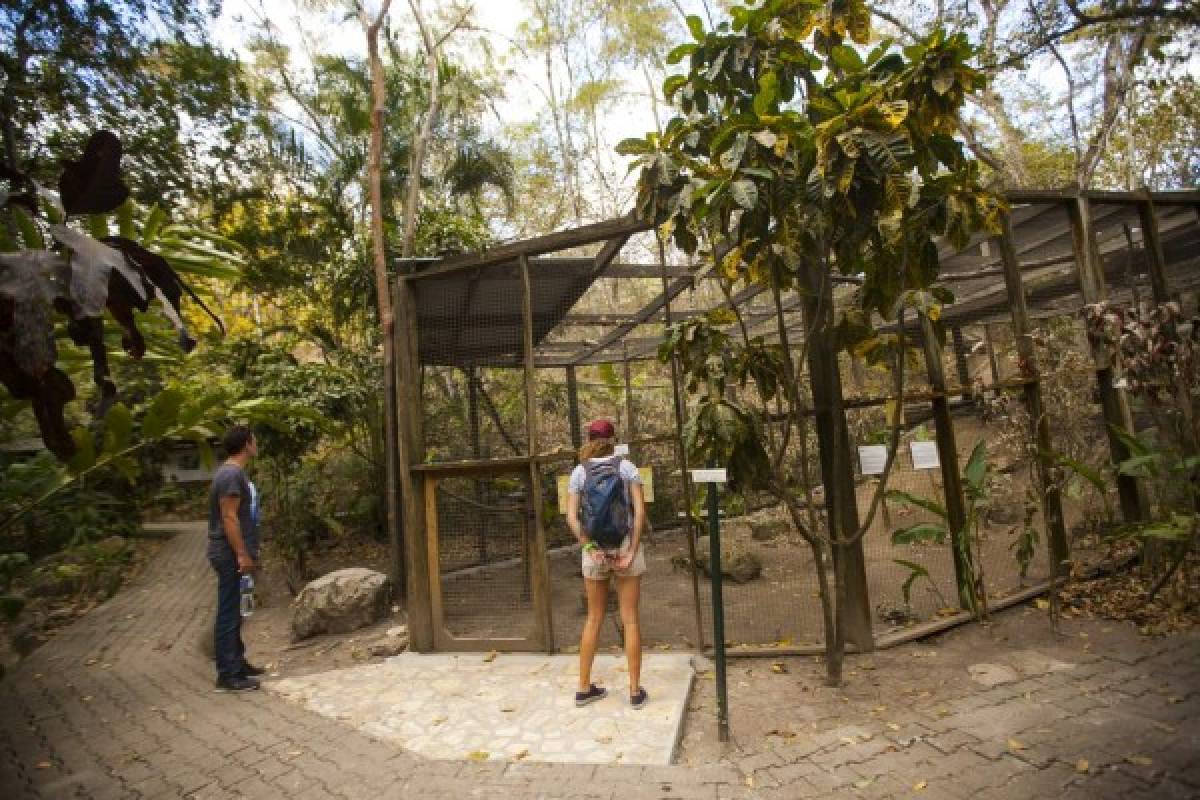 Un relajante paseo por Copán Ruinas, tierra de historia y naturaleza