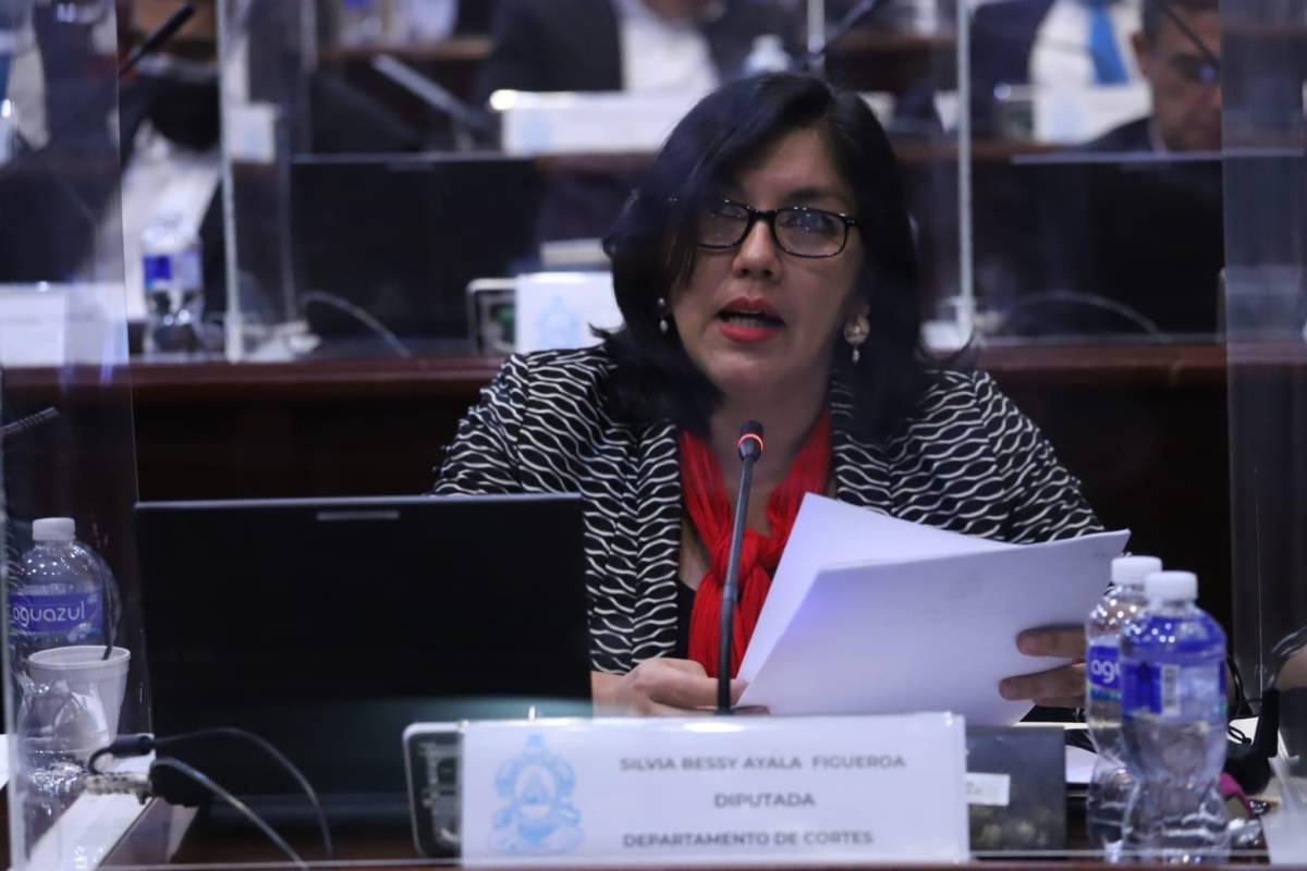 Silvia Ayala: “Que se le reduzca el salario a diputados que no lleguen a trabajar”