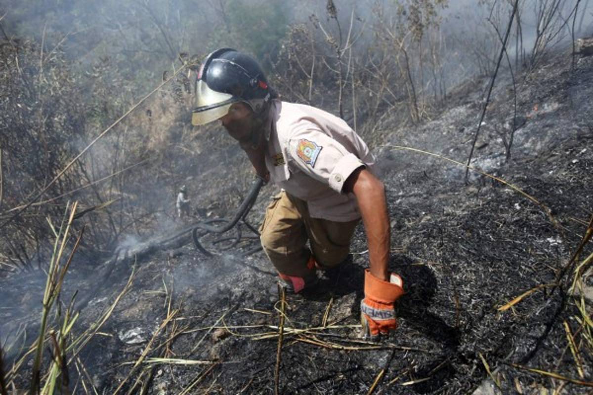 Consumidas 264 hectáreas de bosque en el Distrito Central